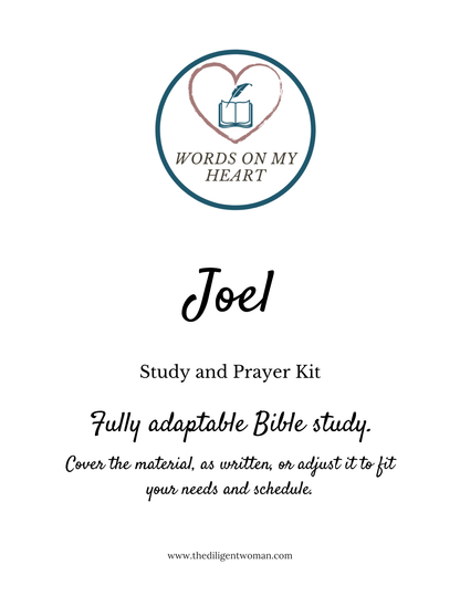 *NEW* Joel Study and Prayer Kit