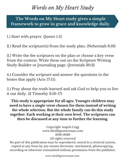 Scripture Writing Mini Kit #3 - Sound Words, Self-Control, Salvation